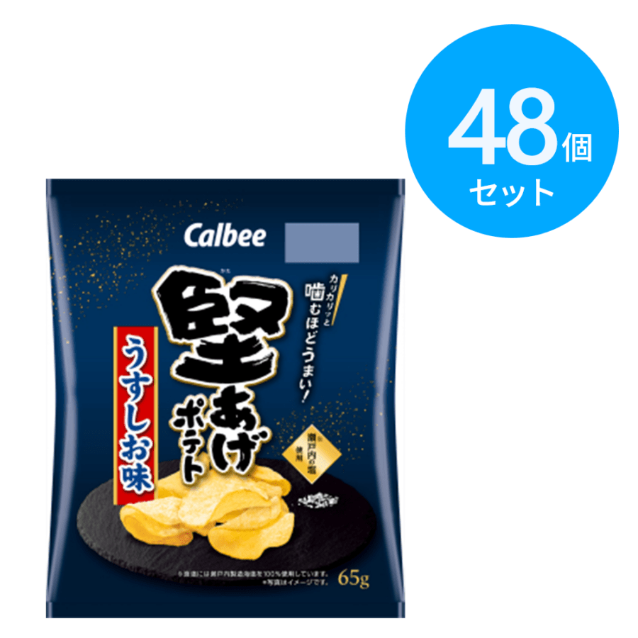 カルビー 堅あげポテト うすしお味 65g 48個