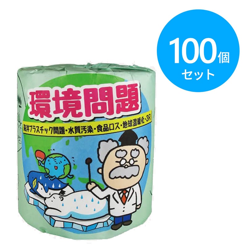 林製紙 トイレットペーパー 環境問題 ダブル 100個 