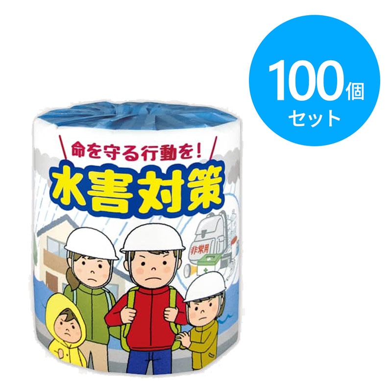 林製紙 トイレットペーパー 環境問題 ダブル 100個 