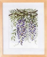 ѥ ƥå ɽʻɤ夦˥åȡ񤦲ڤƣդȤĤ