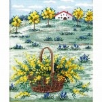 ѥ ɽåȡƥå衼åѤʡ͵ιߥ⥶Υե󥹤դε֡Υᥰ