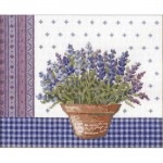 ƥåɽåȡեǥ͡ȡ٥ȥƥ饳åȭ