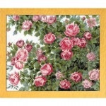 ѥƥå ɽå ٤֤ڥɥ