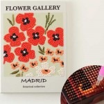  ɥեå  DIAMOND FIX˥ܥ˥륳쥯 ޥɥ꡼ɡMadrid ӡå