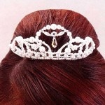 ץ󥻥 ƥ ꥭå ǥ ץ塼륷꡼