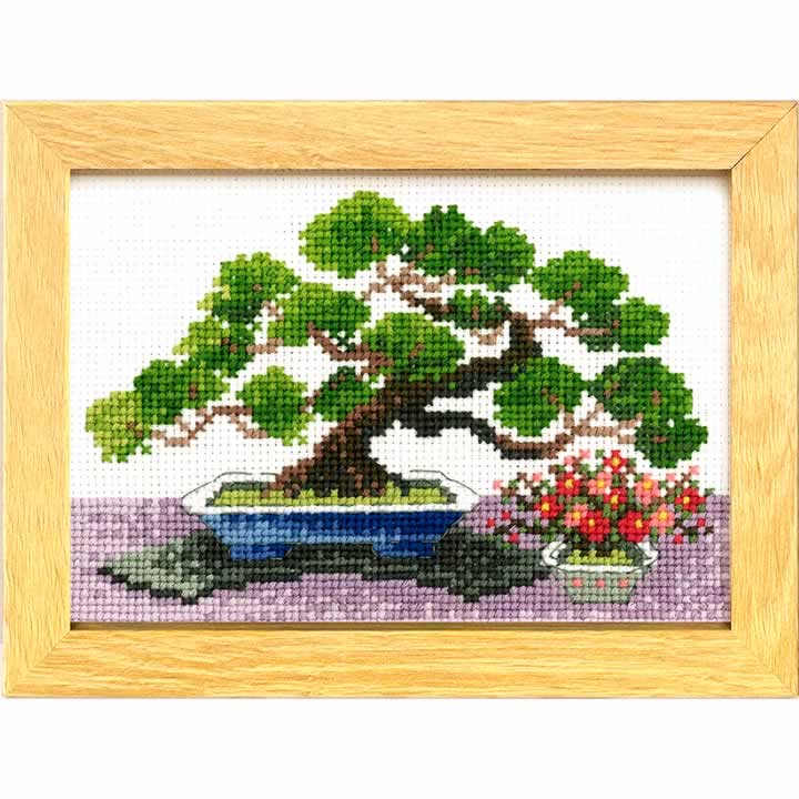 ѥ ƥåɤ夦å 12BONSAIޥ꡼ȥ꡼̥쥯 1 Ӿȴڱ