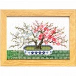 ѥ ƥåɤ夦å 12BONSAIޥ꡼ȥ꡼̥쥯 2 