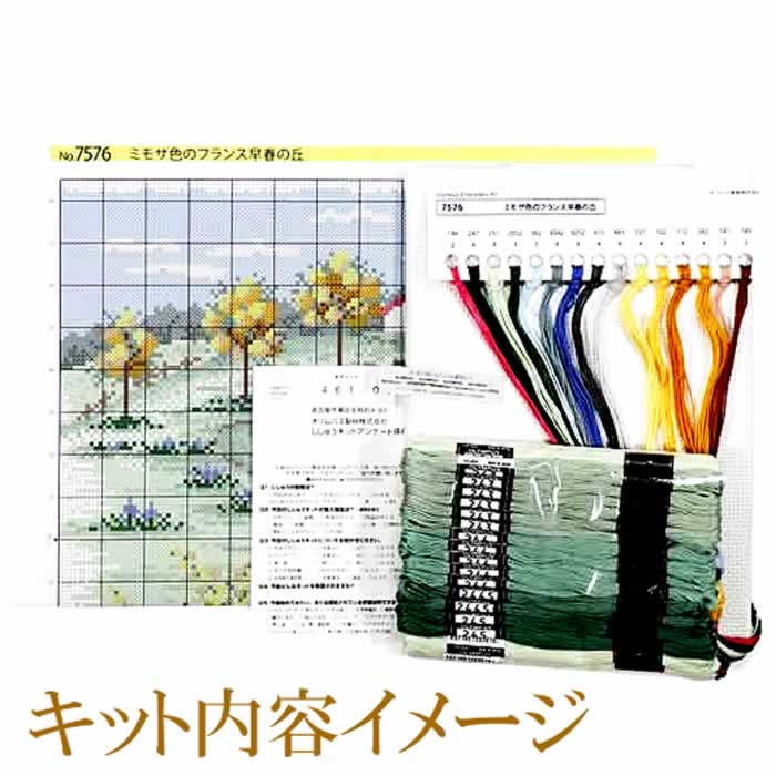 ѥ ɽåȡƥå衼åѤʡ͵ιޥ˥ŤѥγΥᥰ