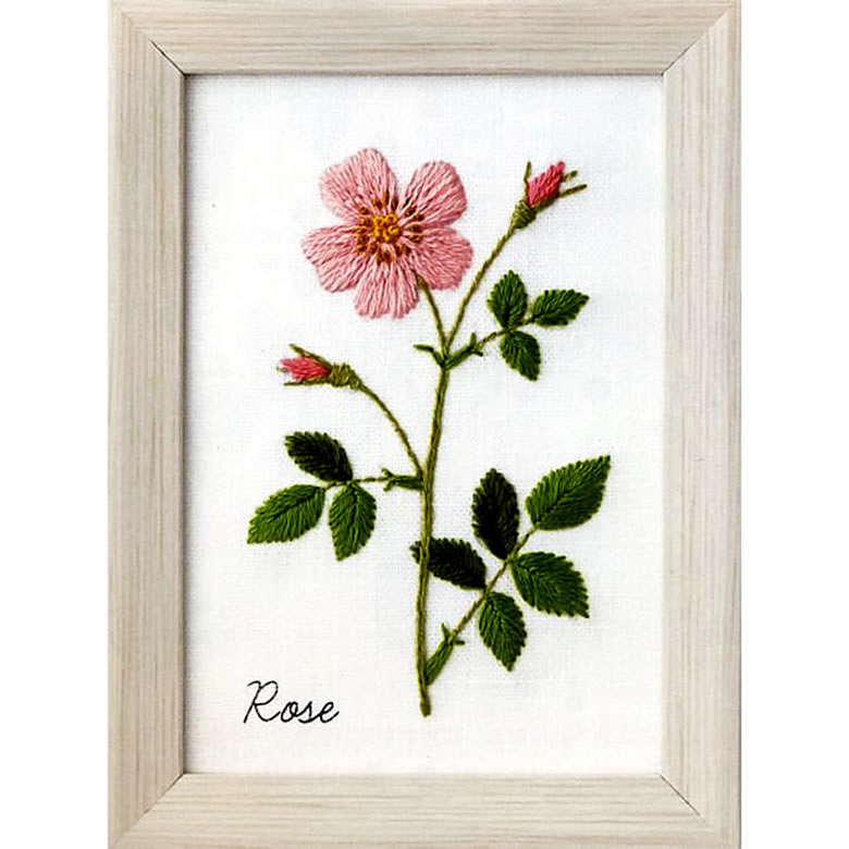 » ɽå 12οʪġ Roseʥ