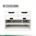 񻺥 󥿡900 BCT-LOW900 ΩסʼʡPOS