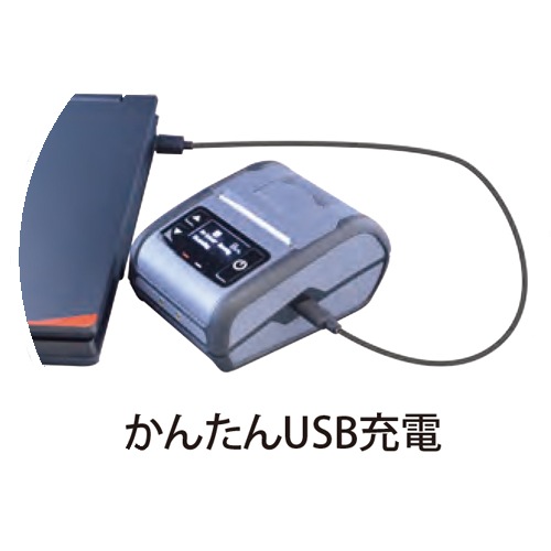 ڻŵSM4-21W/2 Хץ󥿡/USB/Bluetooth BLE/̵LAN