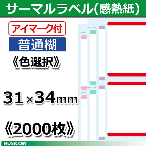 ��Ǯ ��٥����������̸�/���顼��1��ñ�� ��31�߲�34mm �ӥ����� STL3134N