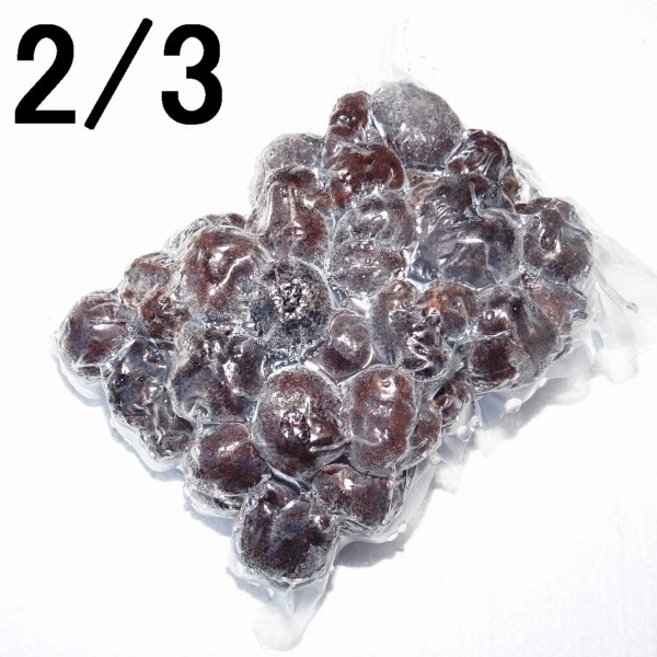 2】【単価7380円/パック】【単位1パック】冷凍 黒トリュフ 特選品 2