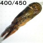 ڣۡñ1660/ۡñ12UHPޡ֥ۡʴݡˡ400-450