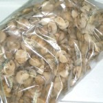 �ڣ��ۡ�ñ��1050��/���ۡ�ñ��5���ۥե�󥹻��������ࡡ�����ԥ˥��� �� �ѥ� �ȥ�󥷥����֥���ɼ�ʥޥå���롼�ࡡ���饤���ˡ��ɣѣ�