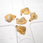 �ڣ��ۡ�ñ��1050��/���ۡ�ñ��10���������ѡ��ܥ��뤢���������ȡ����̻�����