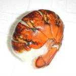 �ڣ��ۡ�ñ��6280��5480��/���ۡ�ñ��4.54���ۥ֥����󥰡����ޡ�����֥������ơ�������ˡ�3oz