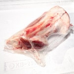 ڣۡñ1680/ۡñ3NZࡡϥɥ󥯡ʹդ­