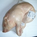 ڣۡñ19800/Ƭۡñ1Ƭ߻ڡۡ롡5.5-6.0