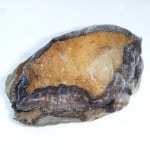 �ڣ��ۡ�ñ����3980��/���ۡ�ñ��2.3���۰�ɲ�����ܥ�������ӡ��ϥ͡������ʡ�50/60��������IQF