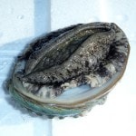 �ڣ��ۡ�ñ��6050��/���ۡ�ñ��1���۳襨������ӡ������ʡ�80/90