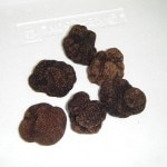 �ڣ��ۡ�ñ������ʸ���ȡۡ�ñ��1�ѥå��ۥե�å���������ˡ��ȥ��ա��ۡ��롡�ƥ�����