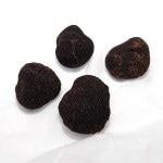 �ڣ��ۡ�ñ��21770��/100��ۡ�ñ��100��ۥե�󥹻����ե�å��塡���ȥ���