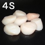 �ڣ��ۡ�ñ��6030��/���ۡ�ñ��10���۹񻺡��ۥ��Ƴ��졡�����ѡ������ʡ���S��51/60��