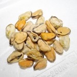 �ڣ��ۡ�ñ��730��/���ۡ�ñ��10���ۥࡼ�볭���भ�ȡ��ɣѣơ�200/300��������