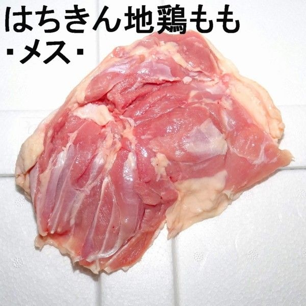 ڣۡñ23201680/ۡñ12۹λںϤϷܡʥ᥹ˡ