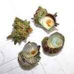 �ڣ��ۡ�ñ��98��/�ġۡ�ñ��60�ġ۸������������ʥܥ�����դ���������100/130��������