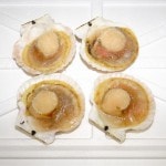 �ڣ��ۡ�ñ��76��/��ۡ�ñ��40��ۥۥ����ҳ��������ʡ�8/9