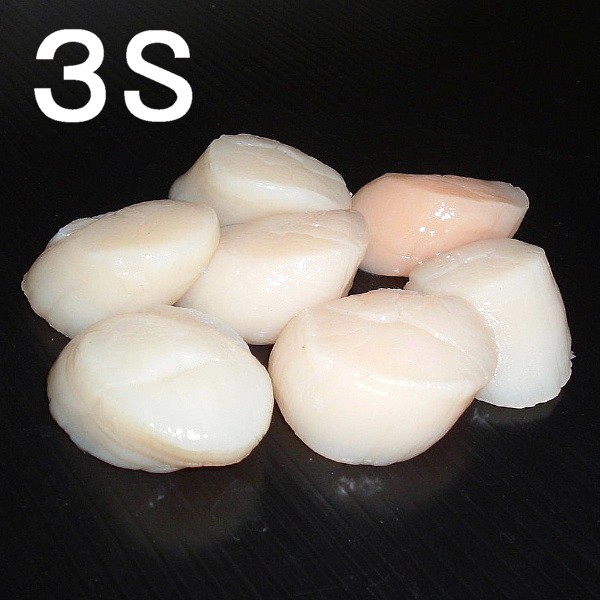 2】【単価6230円/kg】【単位10kg】国産 ホタテ貝柱 生食用 特選品