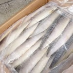 �ڣ��ۡ�ñ��1100��/���ۡ�ñ��10�����̲����Хե��졡̵����ͭ���ʱ����Сˡ��ƥ�����