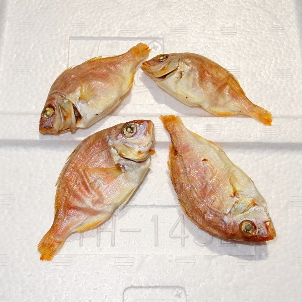 �ڣ��ۡ�ñ��1980��/���ۡ�ñ��3���۰�ͽ�绺��ŷ�����䡡�Ѵ���