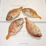 �ڣ��ۡ�ñ��1980��/���ۡ�ñ��3���۰�ͽ�绺��ŷ�����䡡�Ѵ���