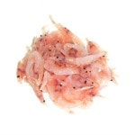 �ڣ��ۡ�ñ��2530��/���ۡ�ñ��5���ۤ��ɿ��ѡ������ӡʥ����饨�ӡˡ����ѥå�