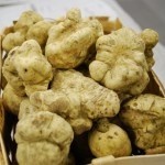 �ڣ��ۡ�ñ��51600��/100��ۡ�ñ��65��ۥ����ꥢ������л����ե�å��塡��ȥ���