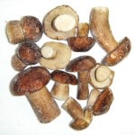 �ڣ��ۡ�ñ��1900��/���ۡ�ñ��2���ۥݥ�����ˡ��ۡ��롡4����գС�������