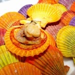 �ڣ��ۡ�ñ��120��/��ۡ�ñ��20��ۡ���¡�����Į������ľ��������ҥ������������𳭡��ҥ���������