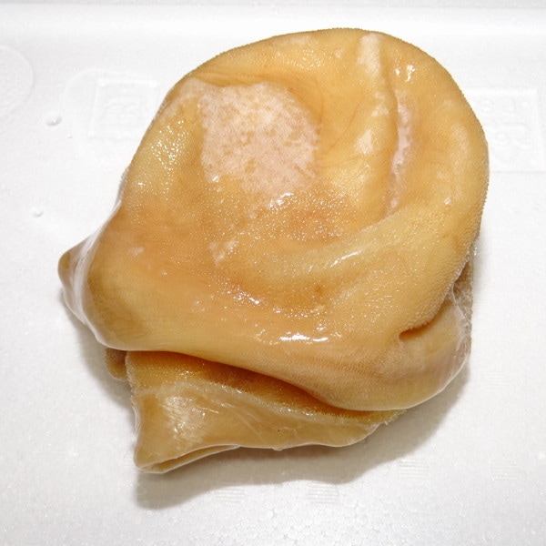 �ڣ��ۡ�ñ��1280��/kg�ۡ�ñ��20���ۥ�ࡡ�ȥ饤�ס��ʻ��ӡ��ϥ��Υ��ˡ�������