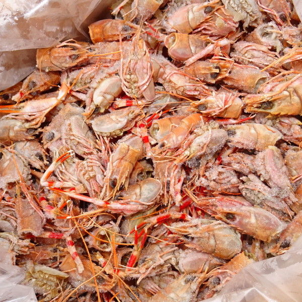 2 単価270円 kg 単位10kg 無添加 ミナミアカザエビ スキャンピー 手長海老 ヘッド すべての商品 ポセイドンフーズ 業務用食材の卸売 通販 2 単価270円 kg 単位10kg 無添加 ミナミアカザエビ スキャンピー 手長海老 ヘッド すべての商品 ポセイドンフーズ 業務用食材の卸売 通販