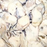 �ڣ��ۡ�ñ��1630��/�ѥå��ۡ�ñ��10�ѥå������फ�����भ�ȡ�L������