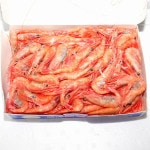 �ڣ��ۡ�ñ��1060��/���ۡ�ñ��12���ۤ��ɿ��ѡ�ͭƬ���Ť��ӡ�������