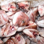 �ڣ��ۡ�ñ��230��/���ۡ�ñ��10�����ܥޥ���Ƭ������̵�������顦����������Ѥߡ�������