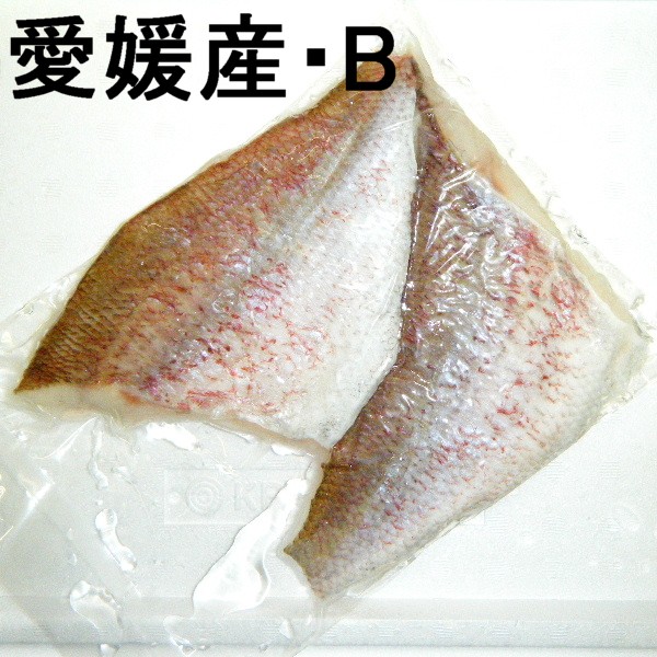 2】【単価2280円/kg】【単位4kg】愛媛・宇和海産 養マダイ（真鯛