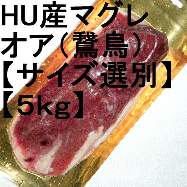 �ڣ��ۡ�ñ��2640��/���ۡ�ñ��5���ۥϥ󥬥꡼�����ޥ��졡�ɡ������������ʡ�(�Ļ��������������)�������������̡���5���