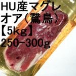 �ڣ��ۡ�ñ��2790��/���ۡ�ñ��5���ۥϥ󥬥꡼�����ޥ��졡�ɡ������������ʡ�250-300�硡(�Ļ��������������)��