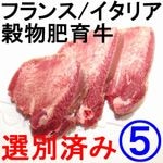 �ڣ��ۡ�ñ3440��/���ۡ�ñ��5���ۥե��/�����ꥢ����������Ѽ��ʪ�������७���󡡥ƥ��åץ��աʥ����襫�åȡˡ����⥵��������