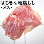 ڣۡñ25201780/ۡñ4۹λںϤϷܡʥ᥹ˡ